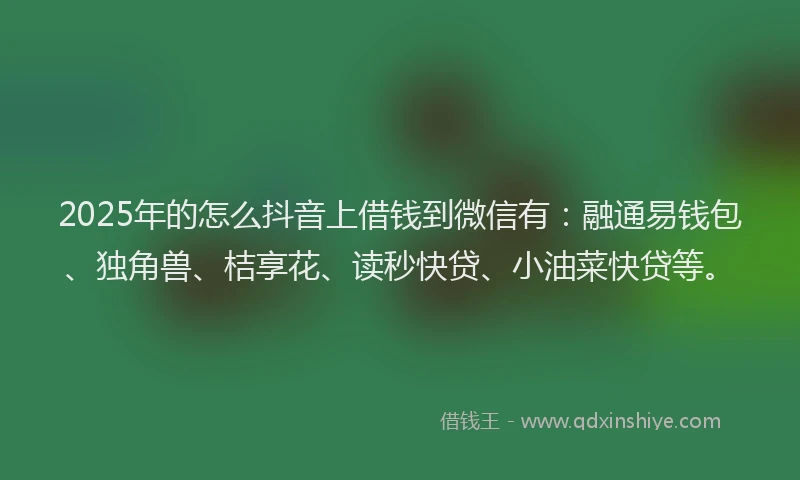 2025年的怎么抖音上借钱到微信有：融通易钱包、独角兽、桔享花、读秒快贷、小油菜快贷等。