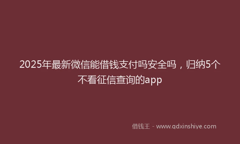 2025年最新微信能借钱支付吗安全吗，归纳5个不看征信查询的app