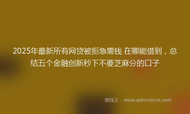 2025年最新所有网贷被拒急需钱 在哪能借到，总结五个金融创新秒下不要芝麻分的口子