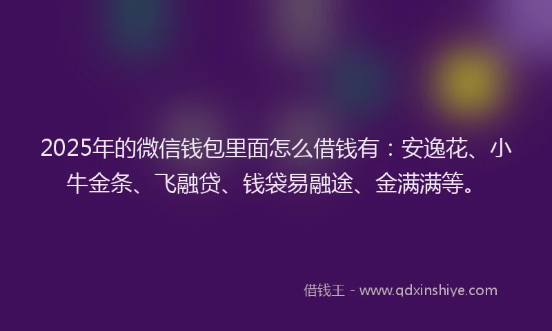 2025年的微信钱包里面怎么借钱有：安逸花、小牛金条、飞融贷、钱袋易融途、金满满等。
