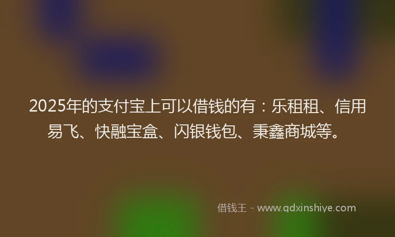 2025年的支付宝上可以借钱的有：乐租租、信用易飞、快融宝盒、闪银钱包、秉鑫商城等。