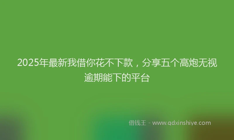 2025年最新我借你花不下款，分享五个高炮无视逾期能下的平台