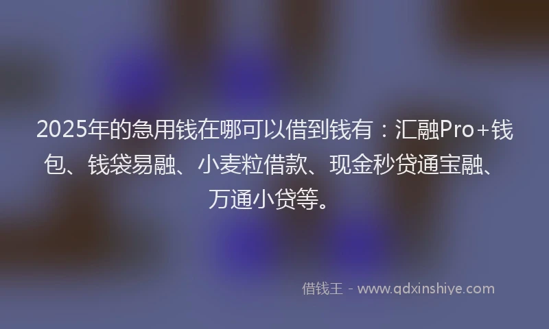 2025年的急用钱在哪可以借到钱有：汇融Pro+钱包、钱袋易融、小麦粒借款、现金秒贷通宝融、万通小贷等。
