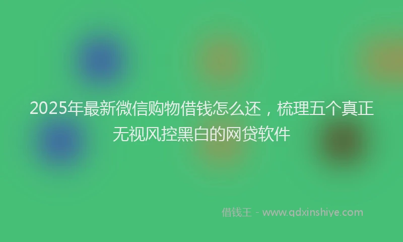 2025年最新微信购物借钱怎么还，梳理五个真正无视风控黑白的网贷软件