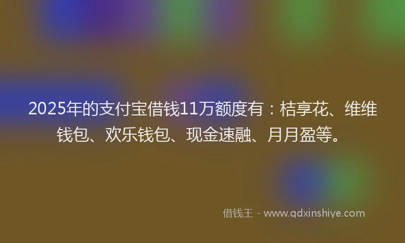 2025年的支付宝借钱11万额度有：桔享花、维维钱包、欢乐钱包、现金速融、月月盈等。