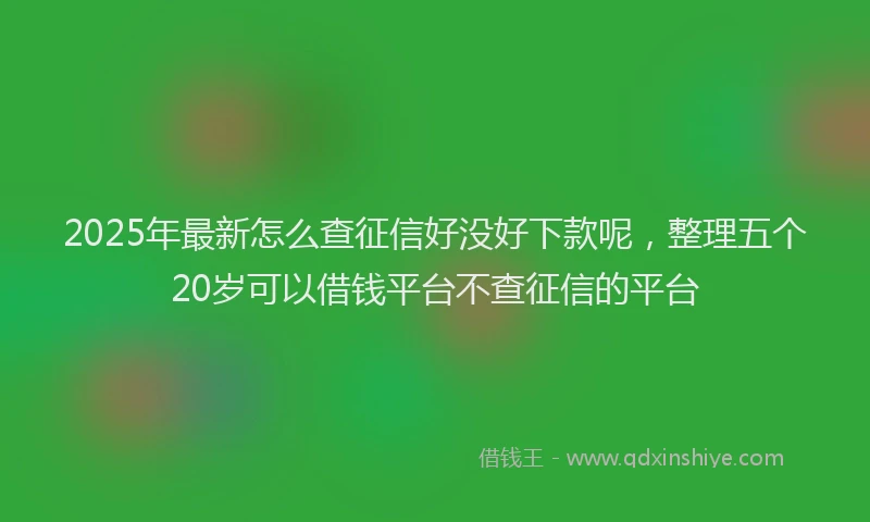 2025年最新怎么查征信好没好下款呢，整理五个20岁可以借钱平台不查征信的平台