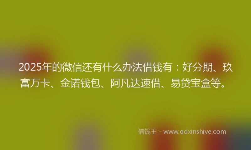 2025年的微信还有什么办法借钱有：好分期、玖富万卡、金诺钱包、阿凡达速借、易贷宝盒等。