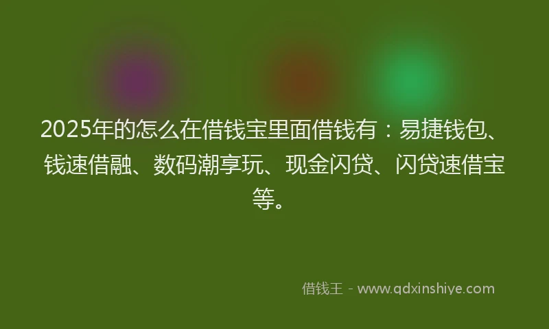 2025年的怎么在借钱宝里面借钱有：易捷钱包、钱速借融、数码潮享玩、现金闪贷、闪贷速借宝等。
