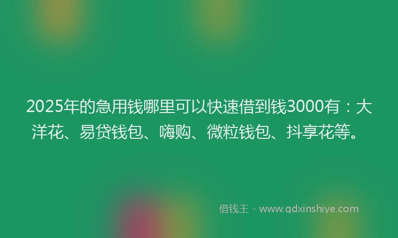 2025年的急用钱哪里可以快速借到钱3000有：大洋花、易贷钱包、嗨购、微粒钱包、抖享花等。