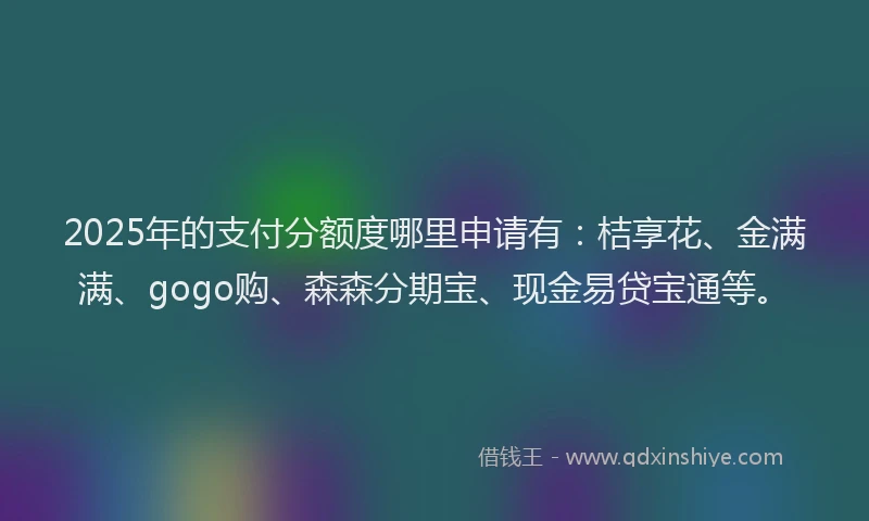 2025年的支付分额度哪里申请有：桔享花、金满满、gogo购、森森分期宝、现金易贷宝通等。