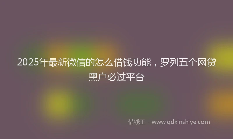2025年最新微信的怎么借钱功能，罗列五个网贷黑户必过平台
