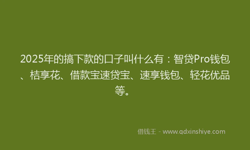2025年的搞下款的口子叫什么有：智贷Pro钱包、桔享花、借款宝速贷宝、速享钱包、轻花优品等。