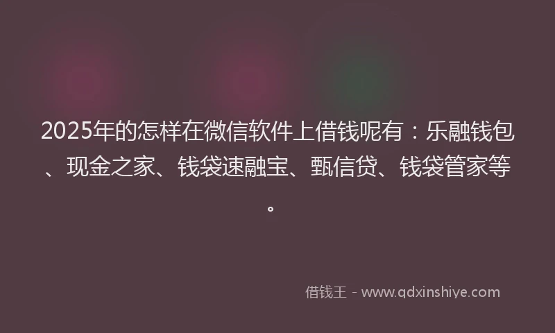 2025年的怎样在微信软件上借钱呢有：乐融钱包、现金之家、钱袋速融宝、甄信贷、钱袋管家等。