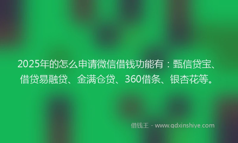 2025年的怎么申请微信借钱功能有：甄信贷宝、借贷易融贷、金满仓贷、360借条、银杏花等。