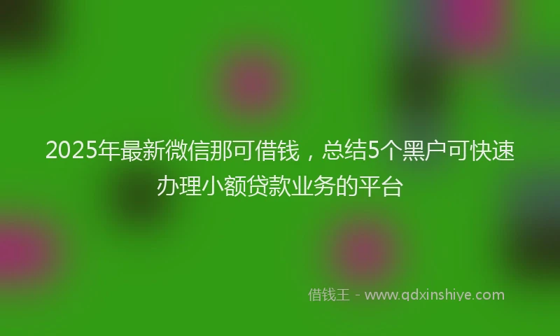 2025年最新微信那可借钱，总结5个黑户可快速办理小额贷款业务的平台