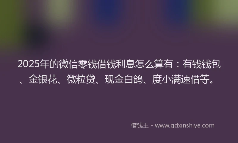 2025年的微信零钱借钱利息怎么算有：有钱钱包、金银花、微粒贷、现金白鸽、度小满速借等。