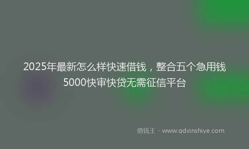 2025年最新怎么样快速借钱，整合五个急用钱5000快审快贷无需征信平台