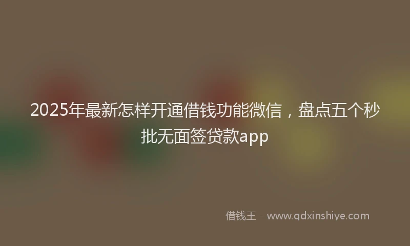 2025年最新怎样开通借钱功能微信，盘点五个秒批无面签贷款app
