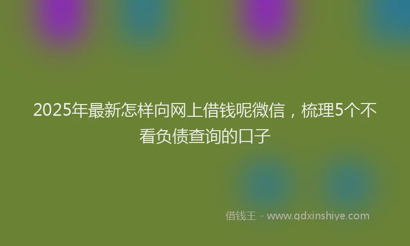 2025年最新怎样向网上借钱呢微信，梳理5个不看负债查询的口子