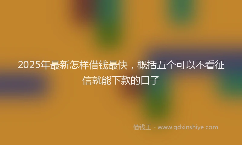 2025年最新怎样借钱最快，概括五个可以不看征信就能下款的口子