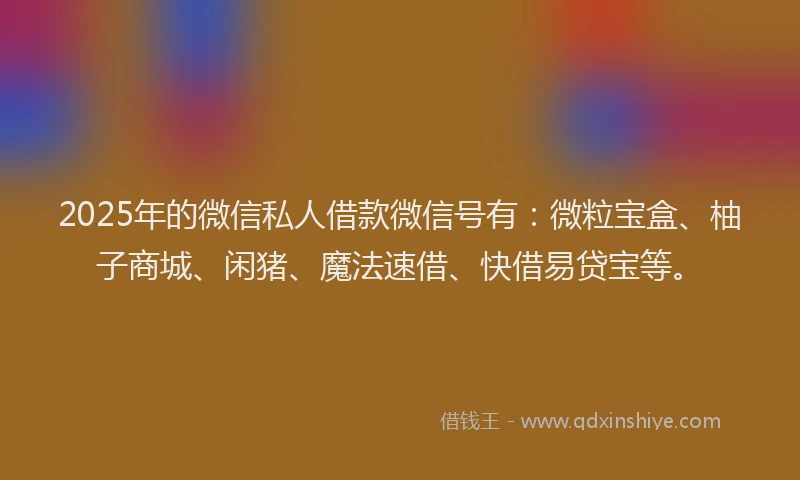 2025年的微信私人借款微信号有：微粒宝盒、柚子商城、闲猪、魔法速借、快借易贷宝等。