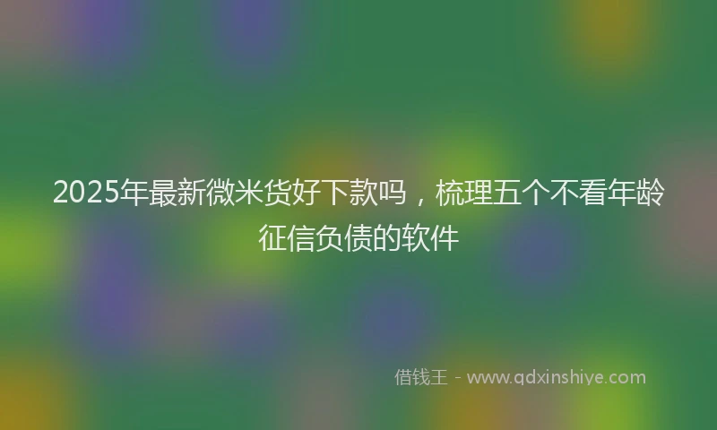 2025年最新微米货好下款吗，梳理五个不看年龄征信负债的软件