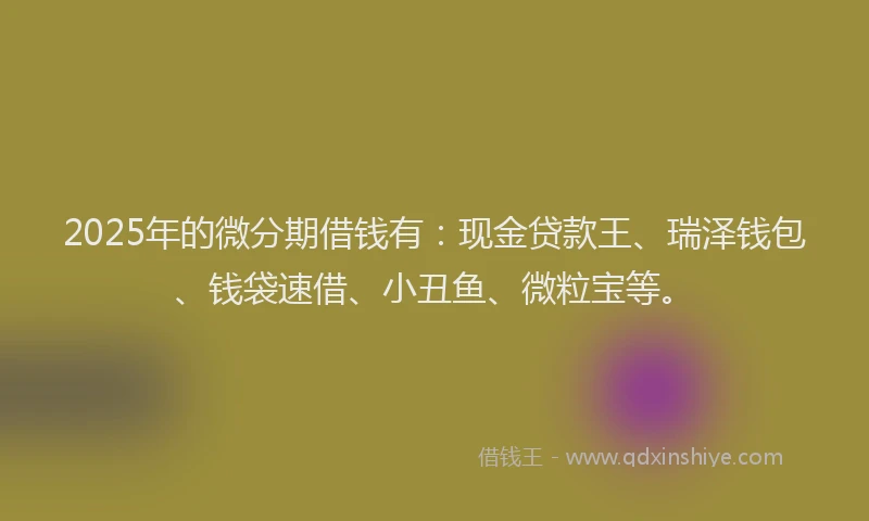 2025年的微分期借钱有：现金贷款王、瑞泽钱包、钱袋速借、小丑鱼、微粒宝等。