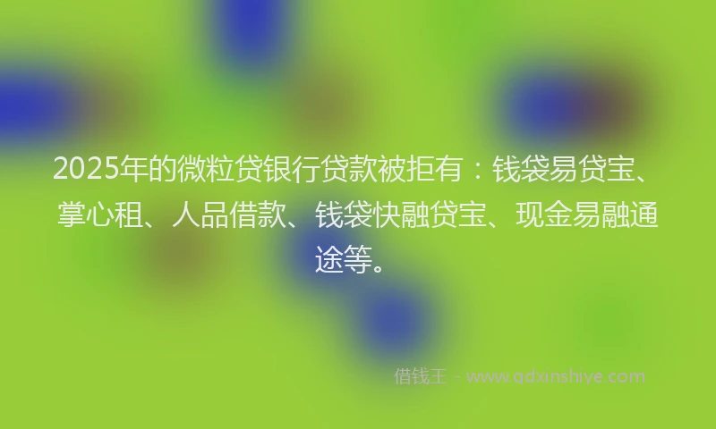 2025年的微粒贷银行贷款被拒有：钱袋易贷宝、掌心租、人品借款、钱袋快融贷宝、现金易融通途等。