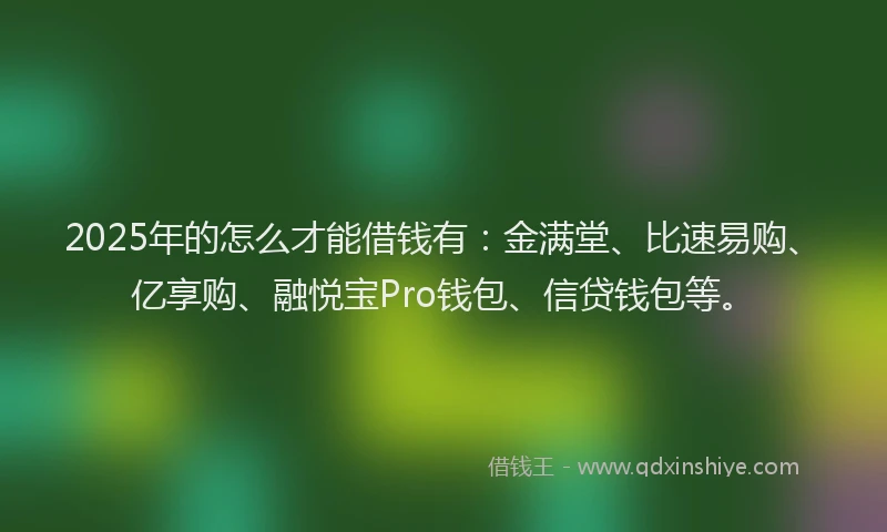 2025年的怎么才能借钱有：金满堂、比速易购、亿享购、融悦宝Pro钱包、信贷钱包等。