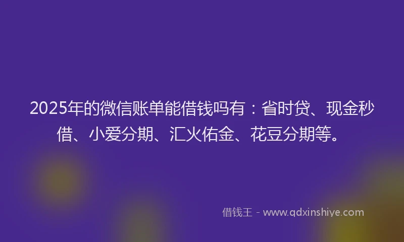 2025年的微信账单能借钱吗有：省时贷、现金秒借、小爱分期、汇火佑金、花豆分期等。