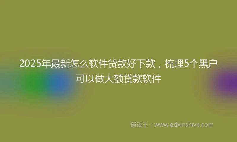 2025年最新怎么软件贷款好下款，梳理5个黑户可以做大额贷款软件