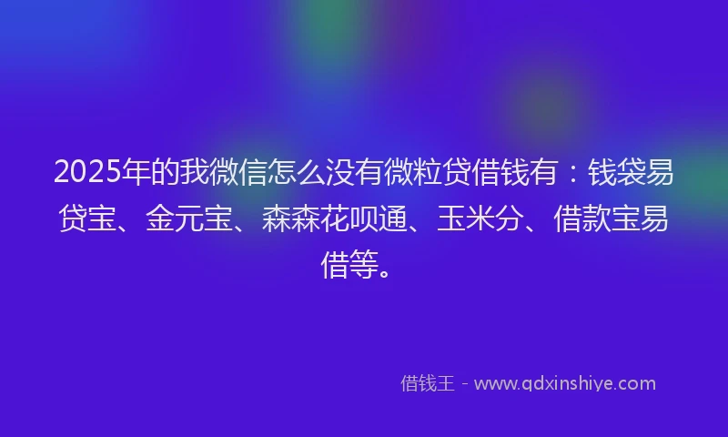 2025年的我微信怎么没有微粒贷借钱有：钱袋易贷宝、金元宝、森森花呗通、玉米分、借款宝易借等。