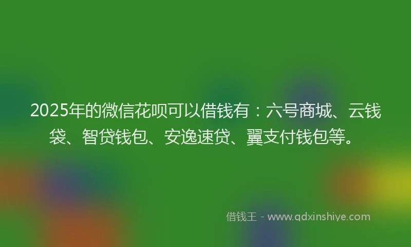 2025年的微信花呗可以借钱有：六号商城、云钱袋、智贷钱包、安逸速贷、翼支付钱包等。