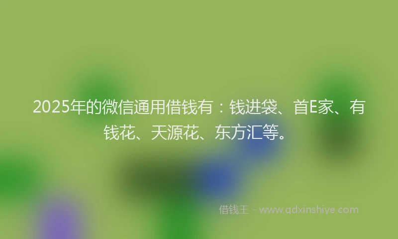 2025年的微信通用借钱有：钱进袋、首E家、有钱花、天源花、东方汇等。