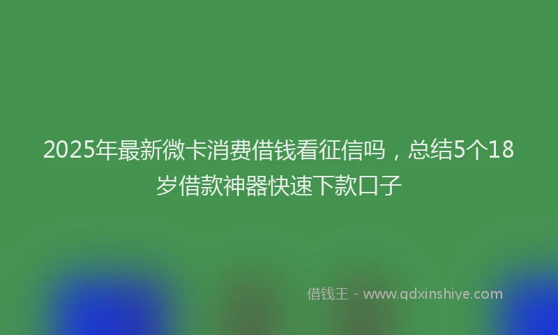 2025年最新微卡消费借钱看征信吗，总结5个18岁借款神器快速下款口子