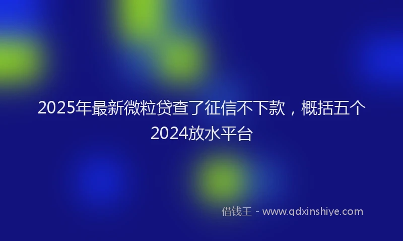 2025年最新微粒贷查了征信不下款，概括五个2024放水平台