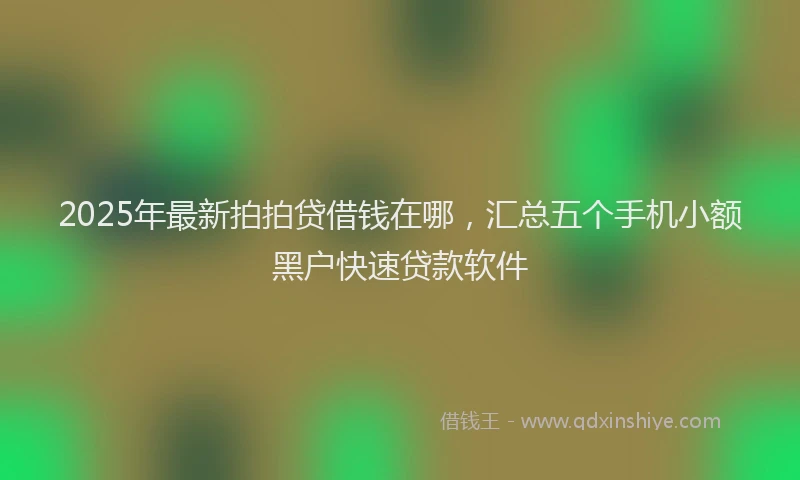 2025年最新拍拍贷借钱在哪，汇总五个手机小额黑户快速贷款软件