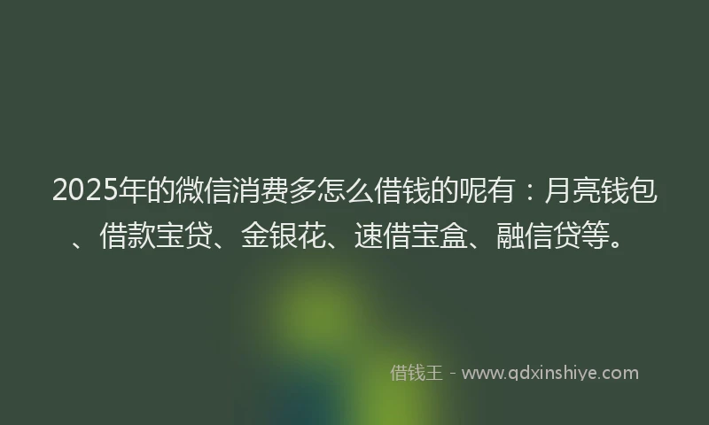 2025年的微信消费多怎么借钱的呢有：月亮钱包、借款宝贷、金银花、速借宝盒、融信贷等。