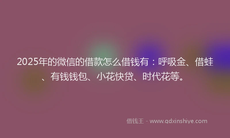2025年的微信的借款怎么借钱有：呼吸金、借蛙、有钱钱包、小花快贷、时代花等。