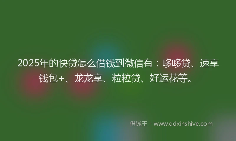 2025年的快贷怎么借钱到微信有：哆哆贷、速享钱包+、龙龙享、粒粒贷、好运花等。