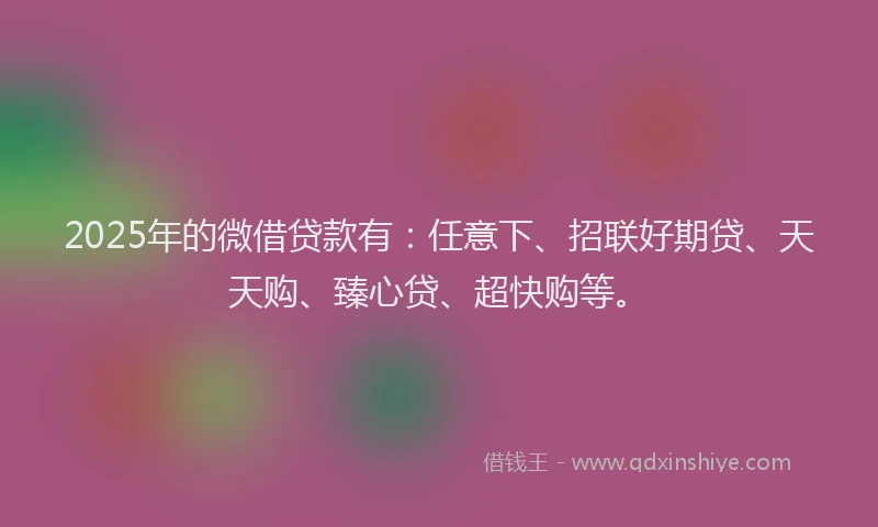 2025年的微借贷款有：任意下、招联好期贷、天天购、臻心贷、超快购等。