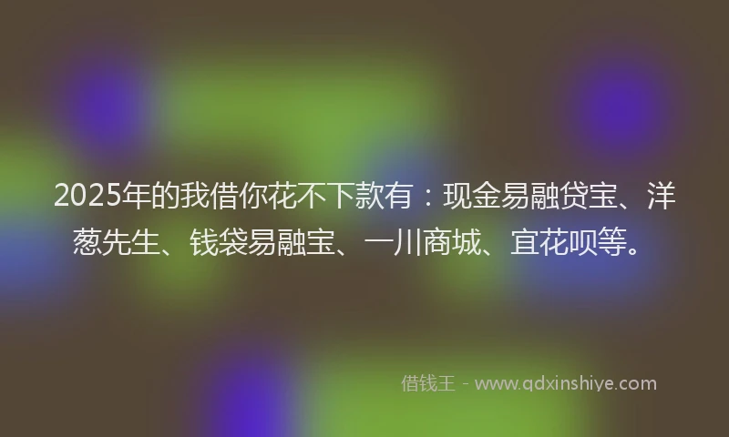 2025年的我借你花不下款有：现金易融贷宝、洋葱先生、钱袋易融宝、一川商城、宜花呗等。