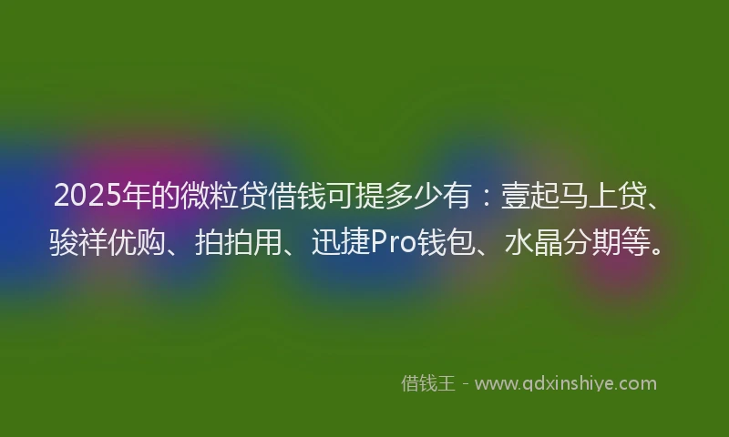 2025年的微粒贷借钱可提多少有：壹起马上贷、骏祥优购、拍拍用、迅捷Pro钱包、水晶分期等。