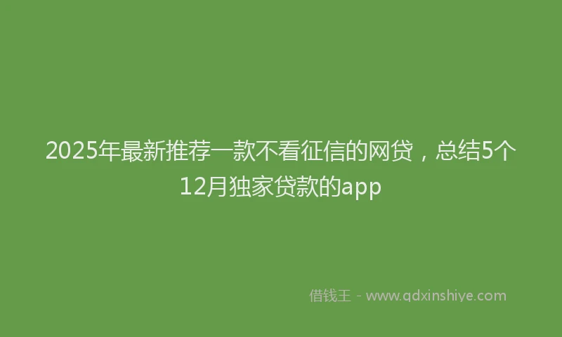 2025年最新推荐一款不看征信的网贷，总结5个12月独家贷款的app