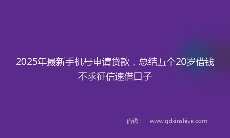 2025年最新手机号申请贷款，总结五个20岁借钱不求征信速借口子