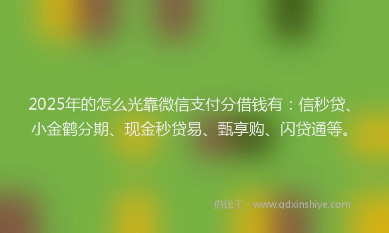 2025年的怎么光靠微信支付分借钱有：信秒贷、小金鹤分期、现金秒贷易、甄享购、闪贷通等。