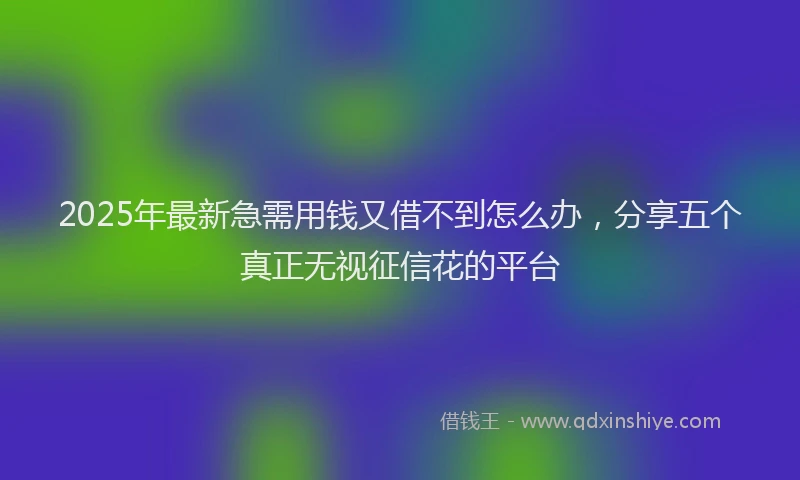 2025年最新急需用钱又借不到怎么办，分享五个真正无视征信花的平台