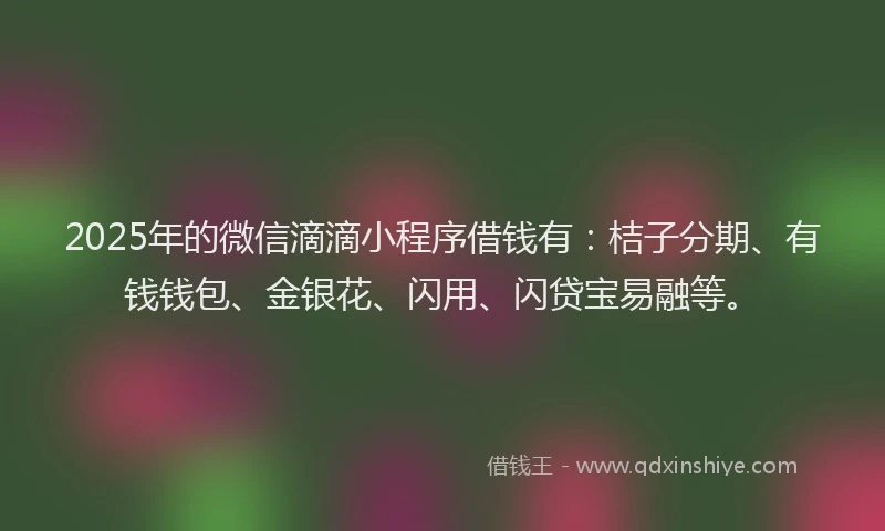2025年的微信滴滴小程序借钱有：桔子分期、有钱钱包、金银花、闪用、闪贷宝易融等。