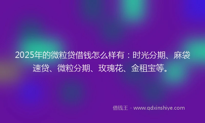 2025年的微粒贷借钱怎么样有：时光分期、麻袋速贷、微粒分期、玫瑰花、金租宝等。