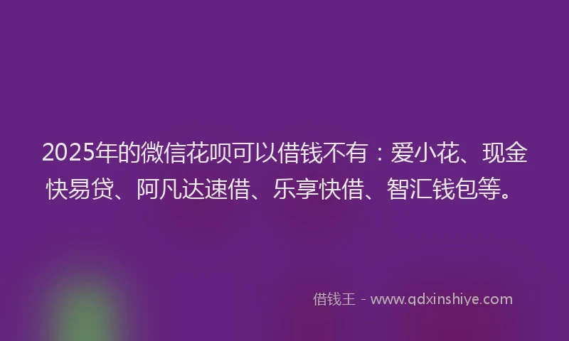 2025年的微信花呗可以借钱不有：爱小花、现金快易贷、阿凡达速借、乐享快借、智汇钱包等。